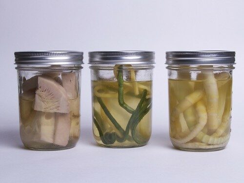 evolve-companies-halloween-blog-laboratory-specimen-jars