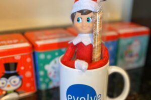 christmas elf evolve blog