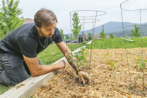 guy gardening in outdoor garden