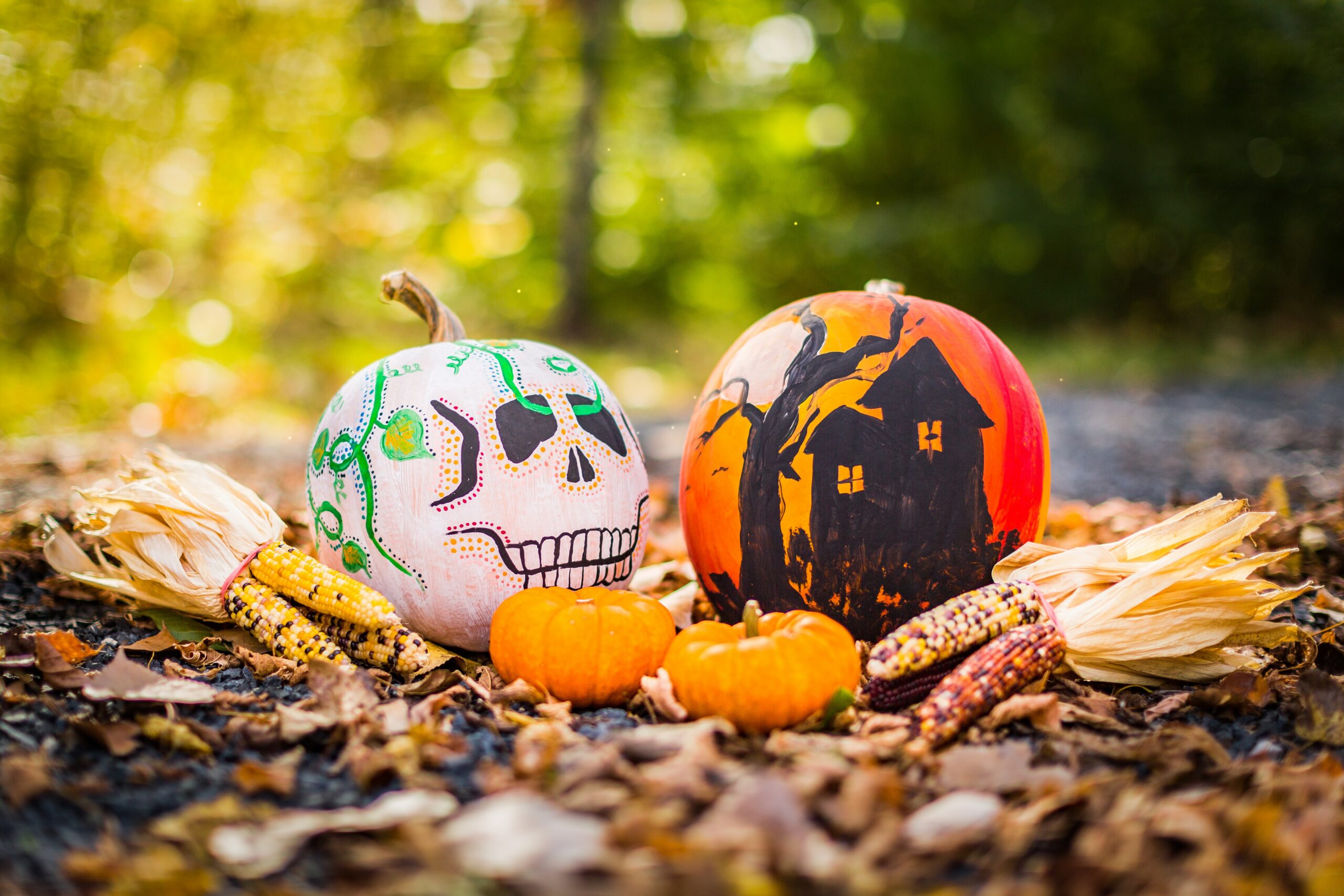 evolve-blog-painted-pumpkins-halloween-at-home painted pumpkins celebrate halloween at home evolve blog