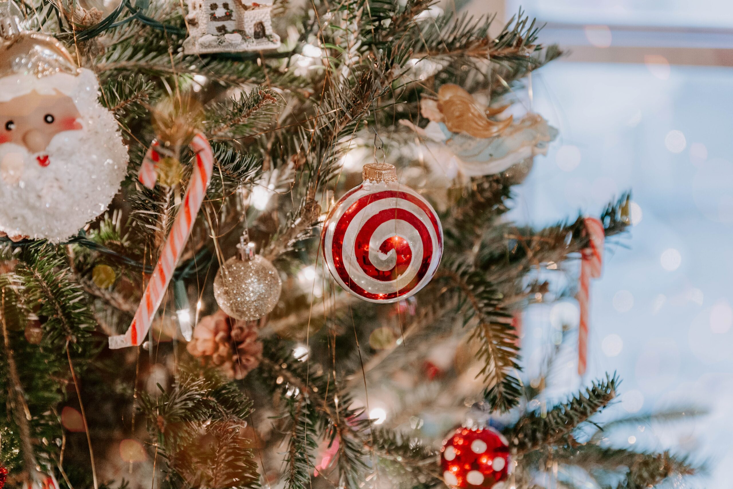 evolve-blog-santa-christmas-tree evolve-blog-santa-christmas-tree