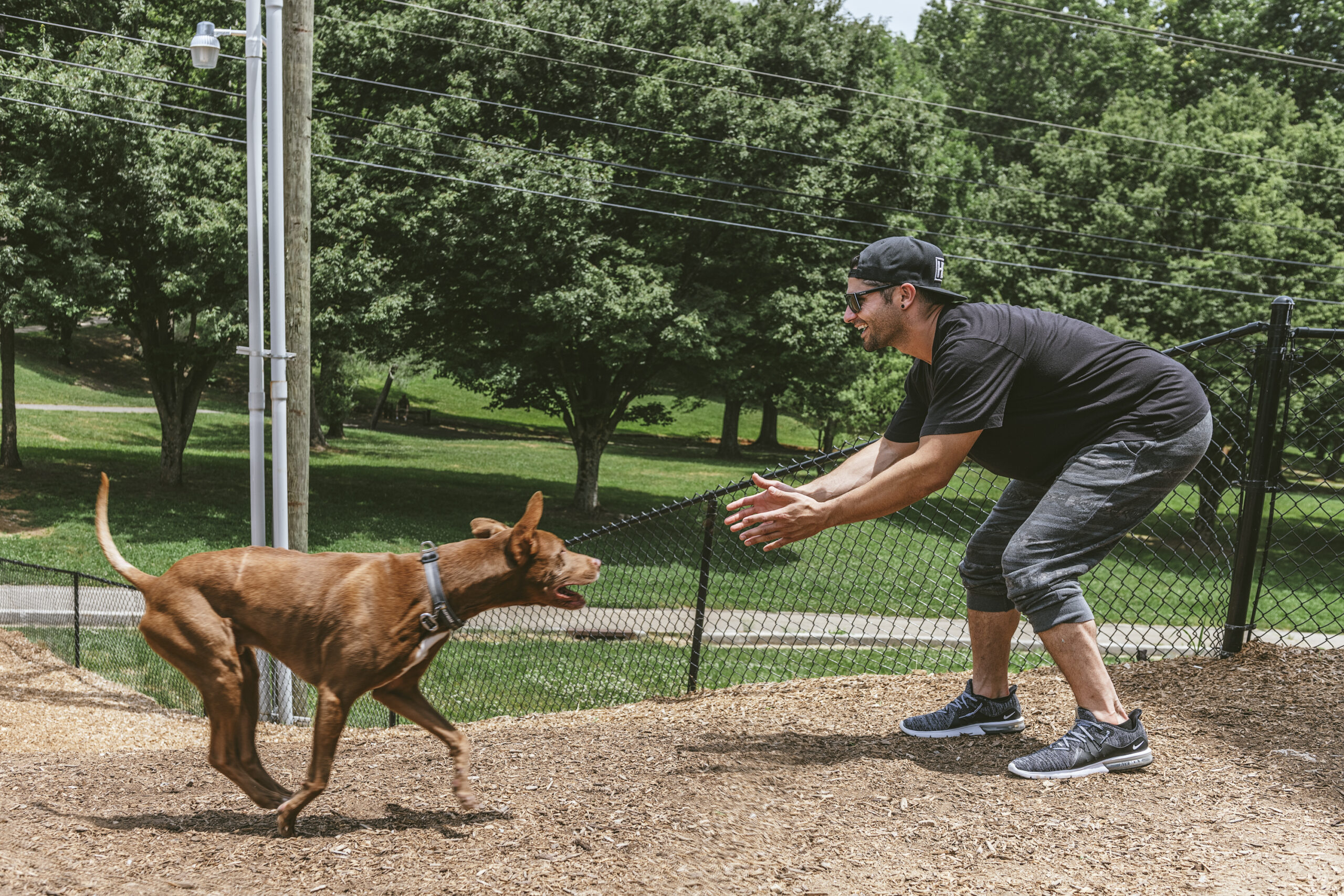 guy playing with dog outdoors dog park evolve