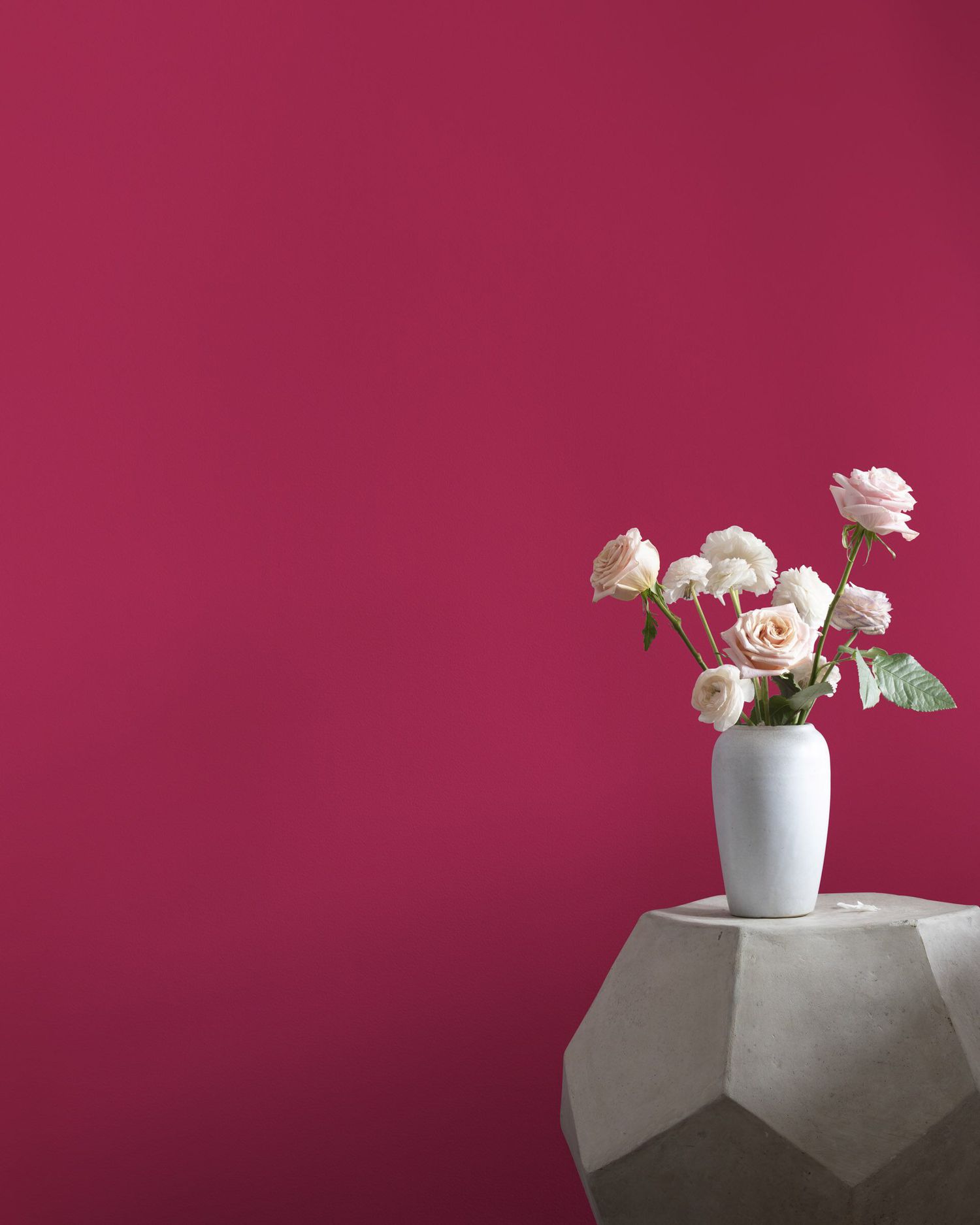 evolve-pantone-viva-magenta-blog-accent-wall viva magenta accent wall evolve blog
